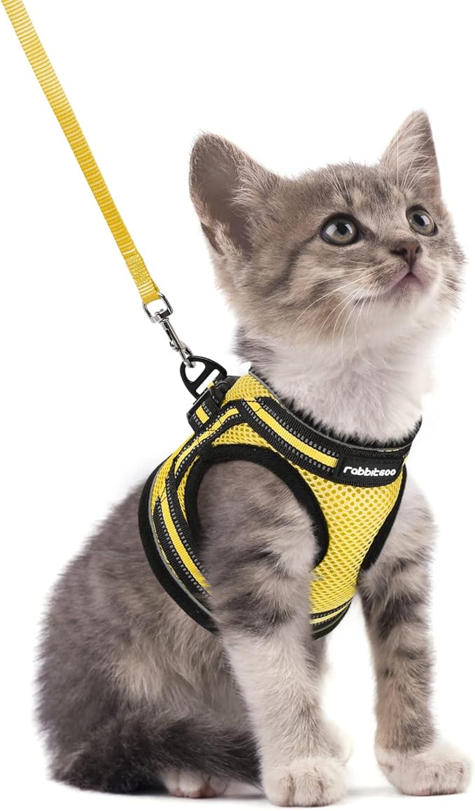 rabbitgoo Cat Harness and Leash Set by rabbitgoo