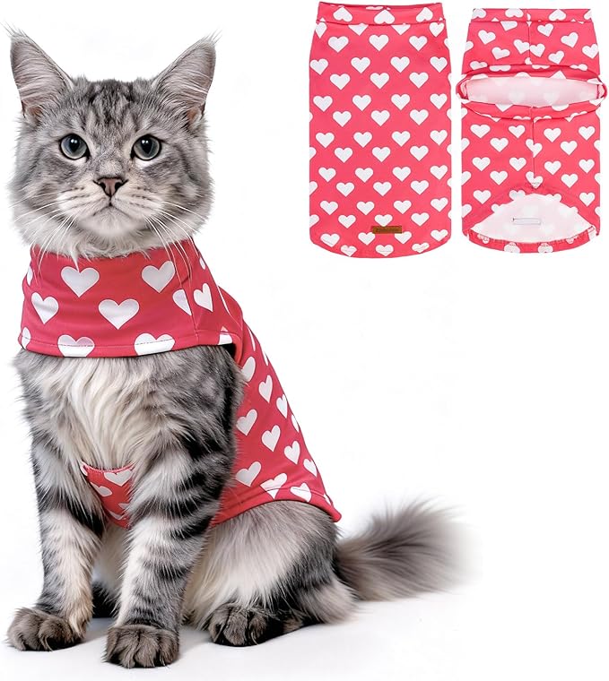 EXPAWLORER Cat Valentines Outfit Sweater by EXPAWLORER