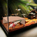 Shrimp Cave for Aquarium Tanks – Durable Fish Tank Decor, Natural Hideout for by CPLIKE