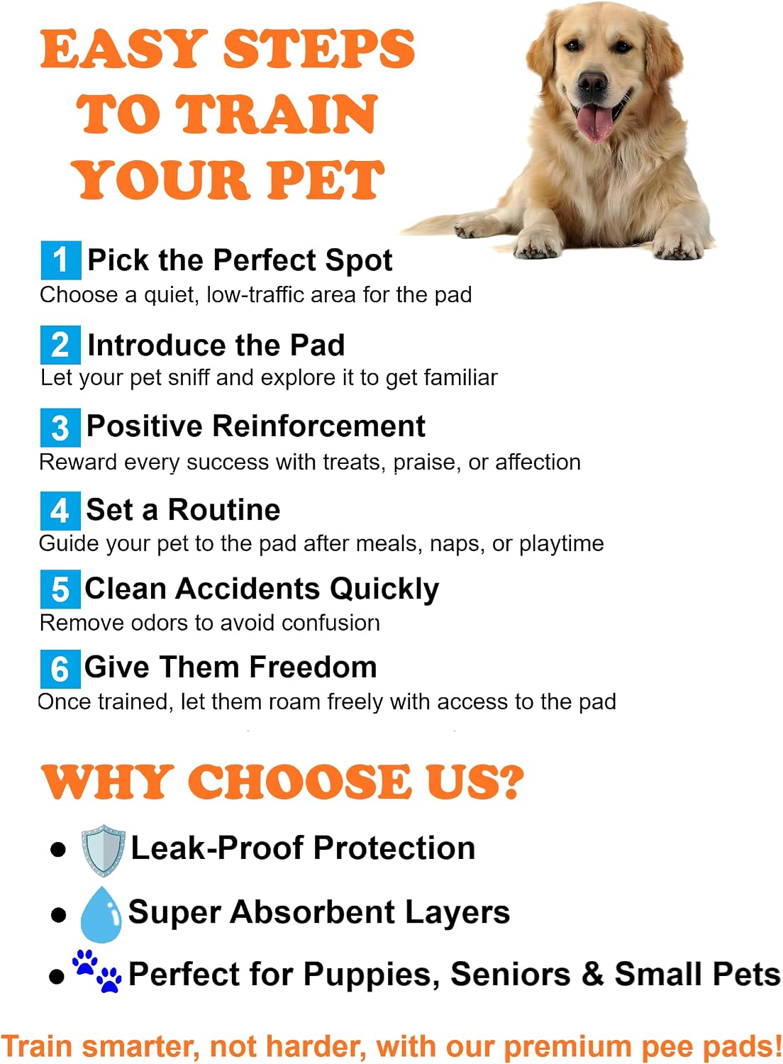 Aurora Pet Ultra-Absorbent Puppy Pee Pads – Large 24x24 Inch, Leak-Proof & Quick-Dry Potty Training Pads (40-Pack), Durable Protection for Dogs – Blue & White