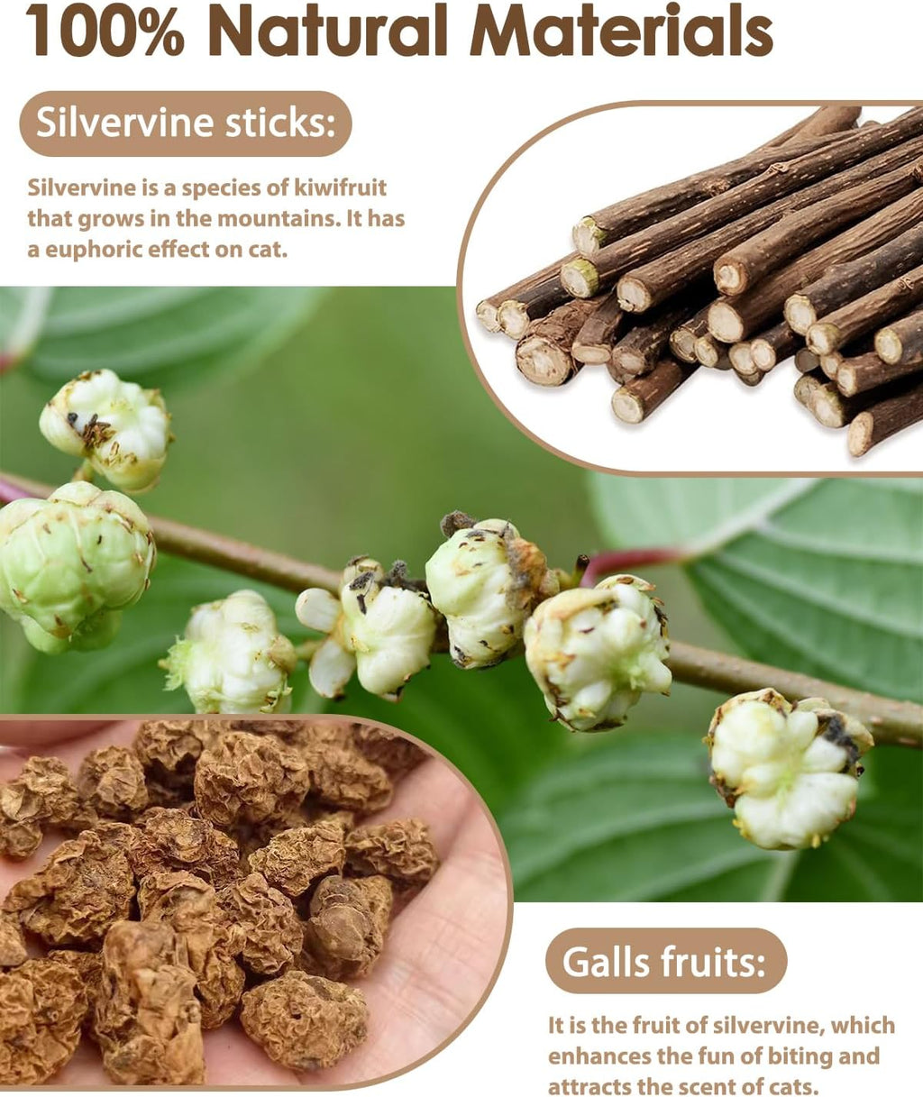 Tocirelo Silvervine Stick for Indoor Cats, Kitten Chew Toys