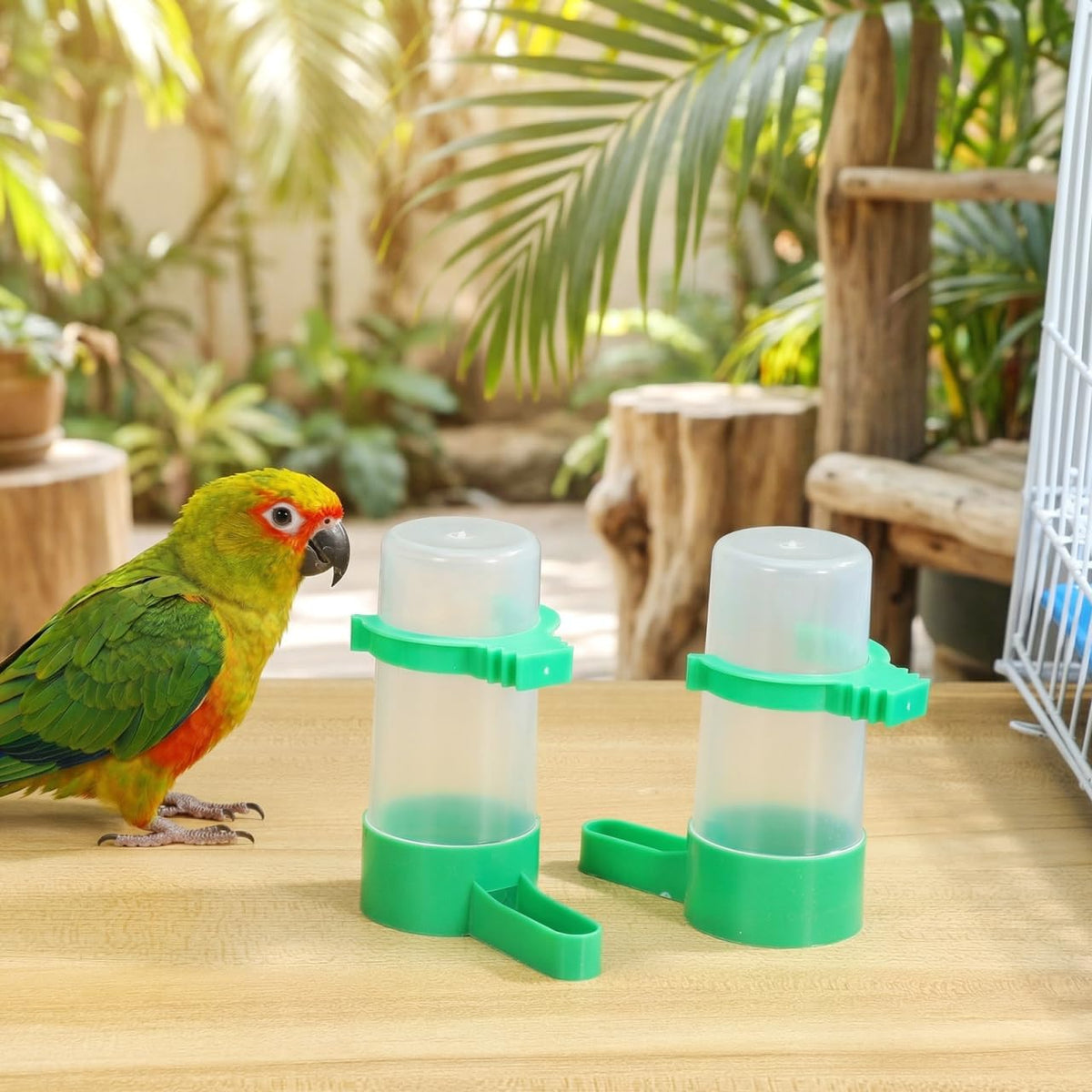 LIOOBO Bird Water Feeder for Cage 10 Pcs Automatic Drinking Bowls for Pigeon Canary Budgie Parakeet Plastic Hanging Water Dispenser for Indoor Outdoor Feeding