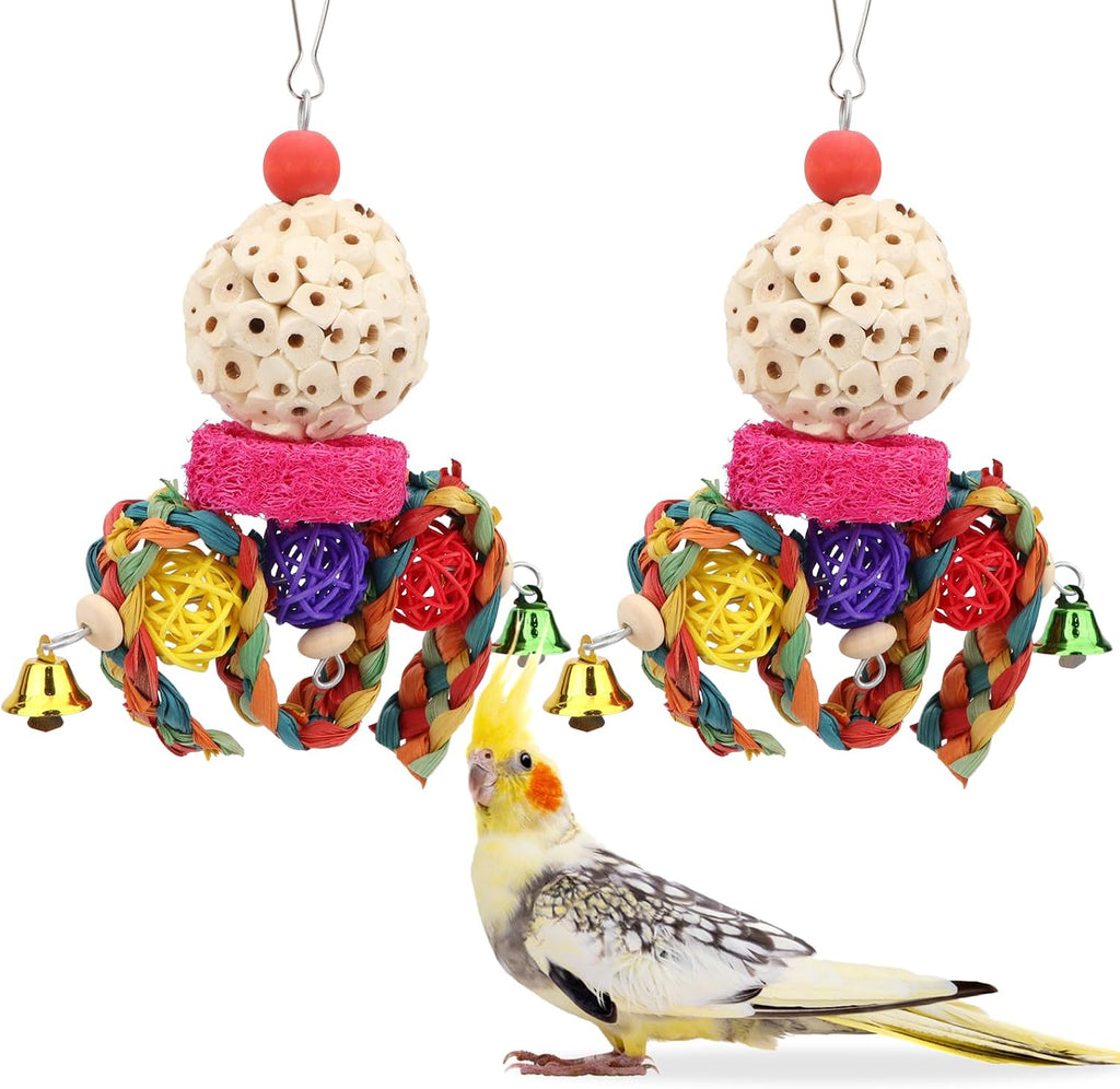 Wontee Bird Toys 3 Pack Parrot Foraging Hanging Toys Sola Ball Natural Nuts Chew Toys for Cockatiels Conures Parakeets Budgies Senegal (3 Pack)