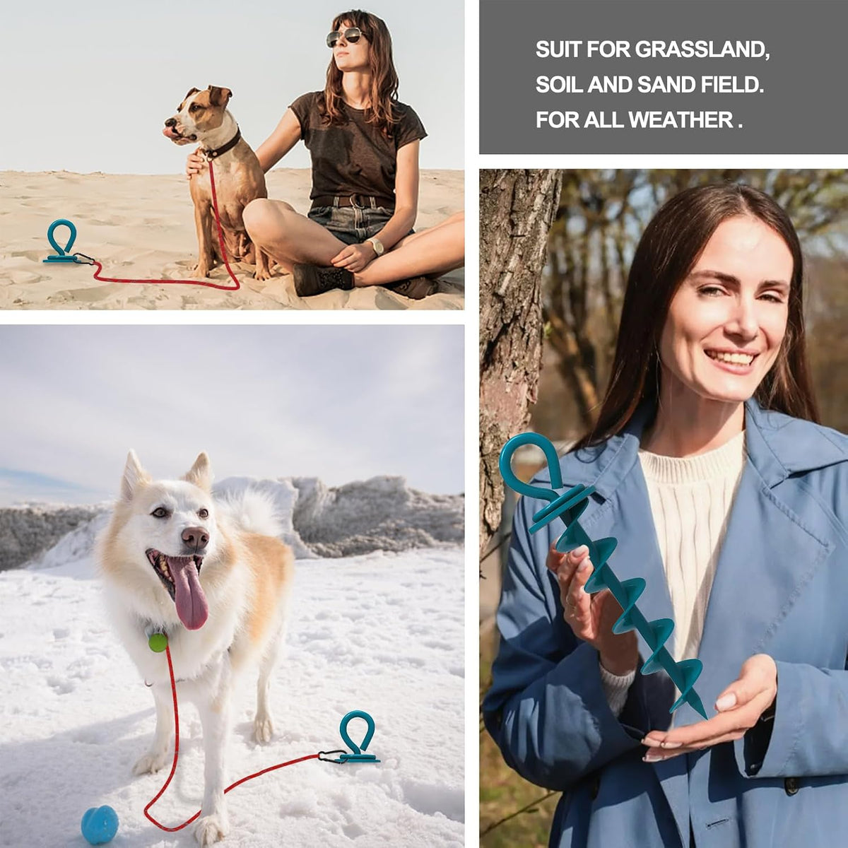 Eurmax USA 2-Pack Heavy Duty Dog Tie Out Stake, No-Tangle In Ground Anchor Runner for Large Dogs up to 210 Lbs - Perfect for Yard, Beach and Camping (Medium,Navy Blue)