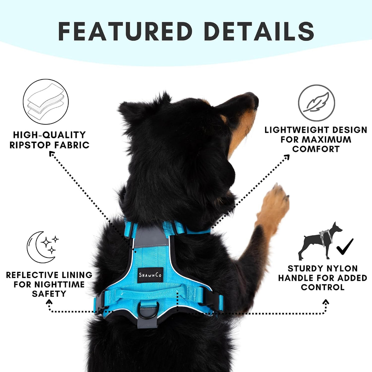 ShawnCo Basecamp Dog Harness, No-Pull Pet Vest (Electric Blue,S)