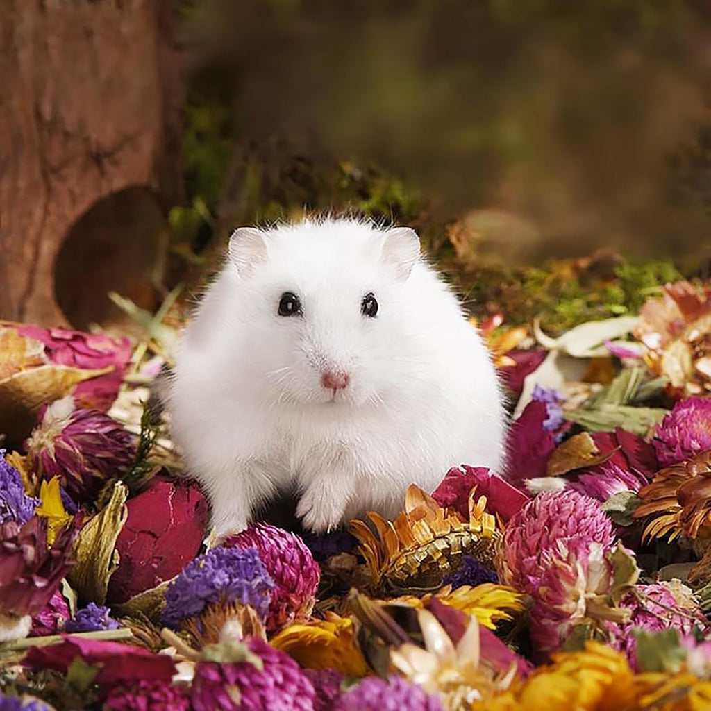Amonk Natural Flower Bedding for Hamsters, Floral Habitat, 200g/7.05oz