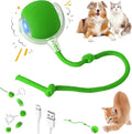 Interactive Electric Automatic Rolling Moving Rechargeable Self Play by Unknown