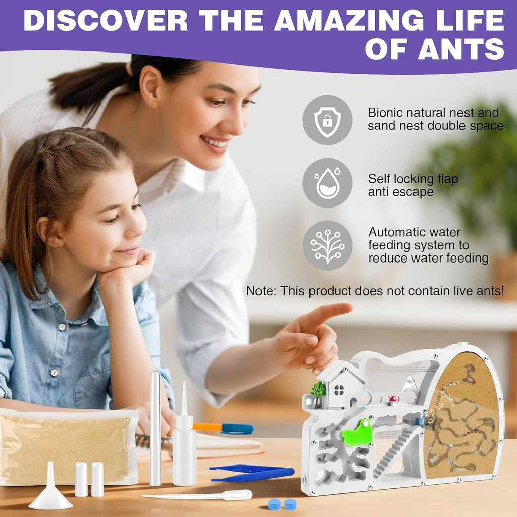 Ant Farm Castle Habitat, Ant Colony Observation Kit