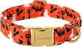 Unique style paws Dog Collar Metal Buckle Collar by Uniquestylepaws