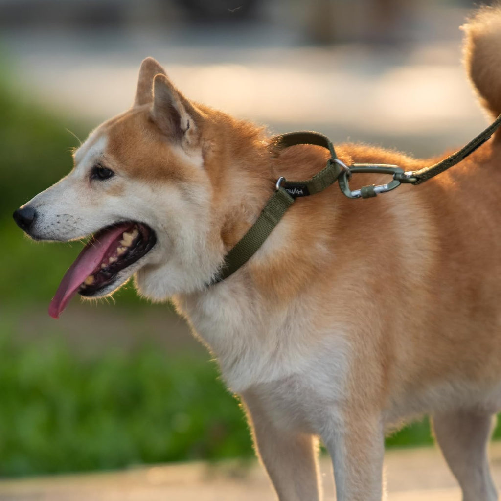 Hyhug Martingale Collar for Dogs, Large Green, Escape Proof