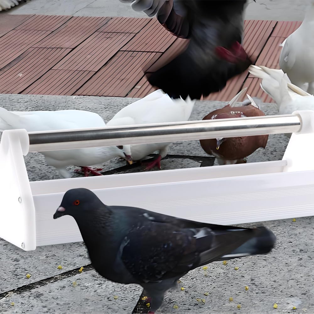 2 Pcs Pigeon Feeder Durable Reinforced Plastic Food Box Feeding Dish Storage Trough for Bird Pigeon Parrot Duck Home Poultry (Length: 15.5")