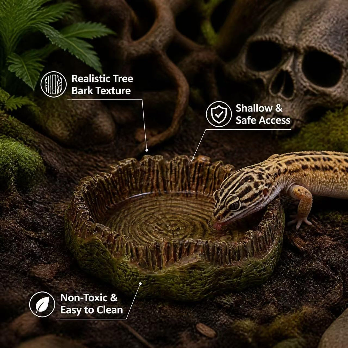 Reptile Hide Cave, 6 Pcs Terrarium Decor Set: Snake Hideout, Skull, Rock Shelter, Water Dish, Basking Bridge & Artificial Plants for Ball Python, Leopard Gecko, Bearded Dragon Tank Accessories