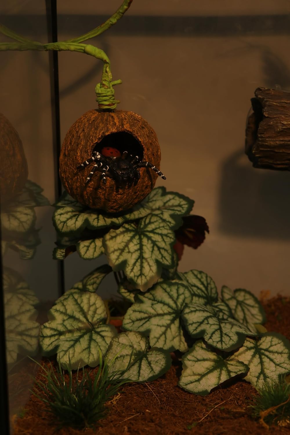 AQUA KT Reptile Jumping Spider Enclosure Hideout with Climbing Vine