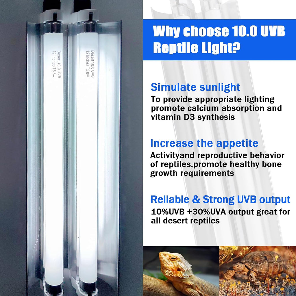 Celiwace T5 Reptile Light Fixture Combo Kit 16 Watts, 12 Inches UVB Light 2x8 Watt, T5 10.0 UVB Reptile Light Fixture, Desert Reptile Light for Lizard, Bearded Dragon, Tortoise