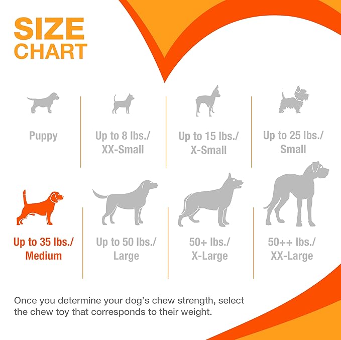 Nylabone Flexi Chill & Chew Toy - Image 4