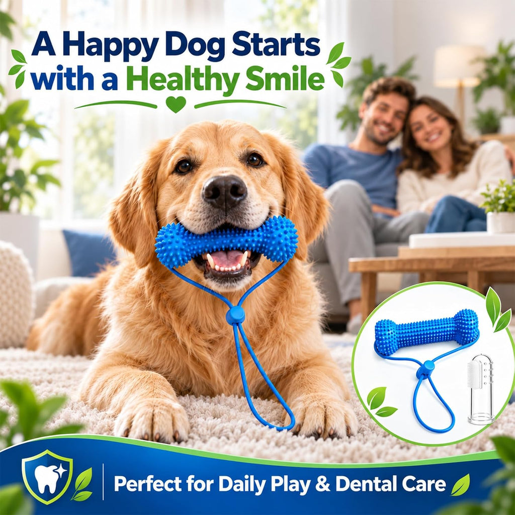 Dual-Action Canine Dental Prop, Dog Dental Chew Toy for Easier Teeth Brushing, Premium Pet Oral Care Accessory，Brushing Toothbrush Tools Care Chew Toys（1PCS）