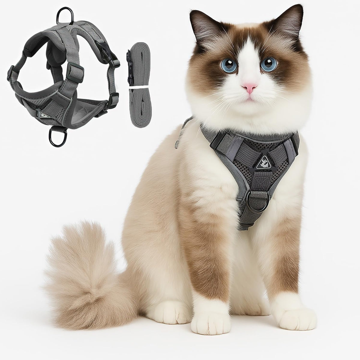 Cat Chest Harness and Leash Set for Walking Escape Proof, Soft Adjustable Vest Harnesses for Cats, Kitten Jacket with Reflective Strip, Easy to Put on with 3 Buckles for Traveling (Red, M)