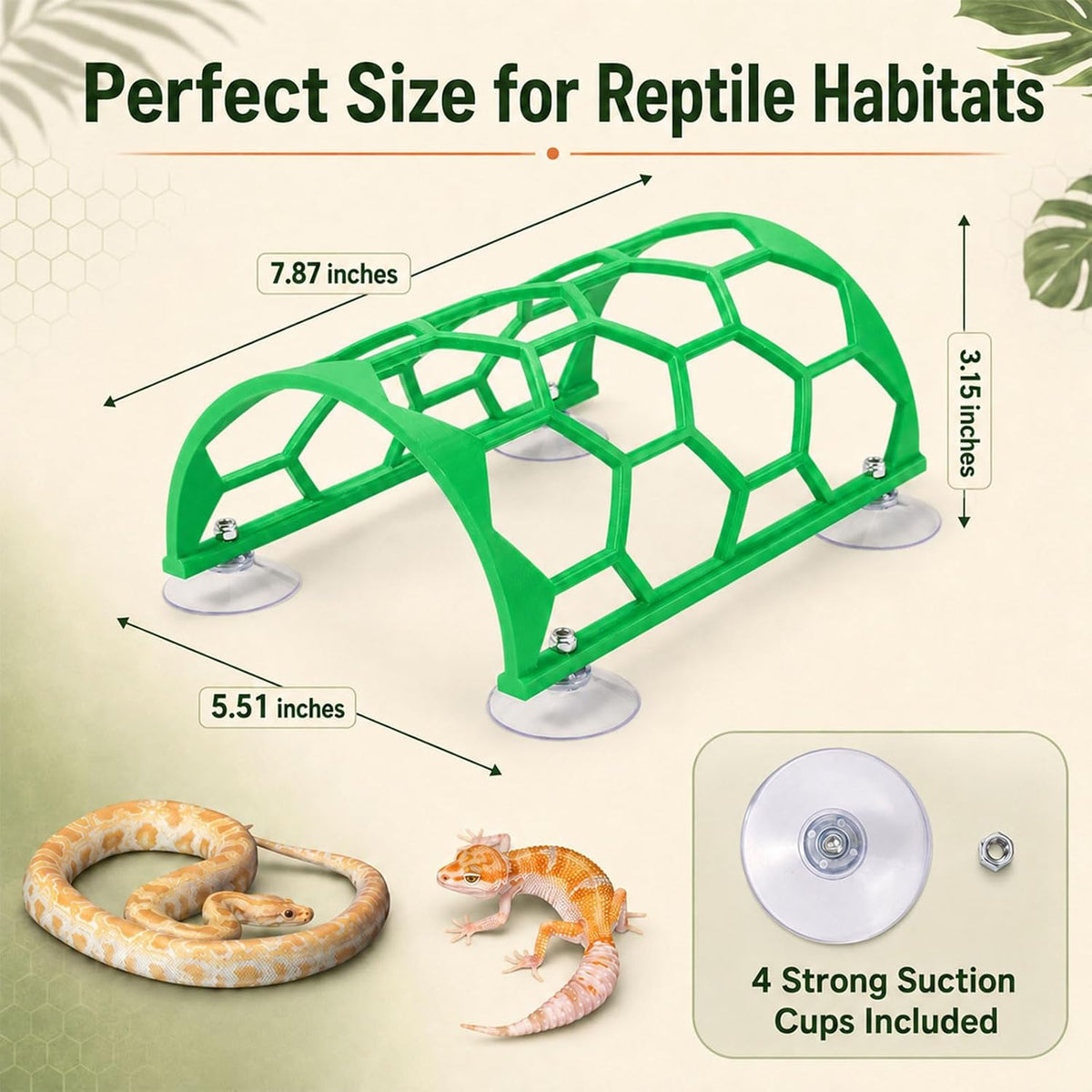 Reptile Climbing Shelf, Suction Cup Honeycomb Platform Snake Tank(Green)