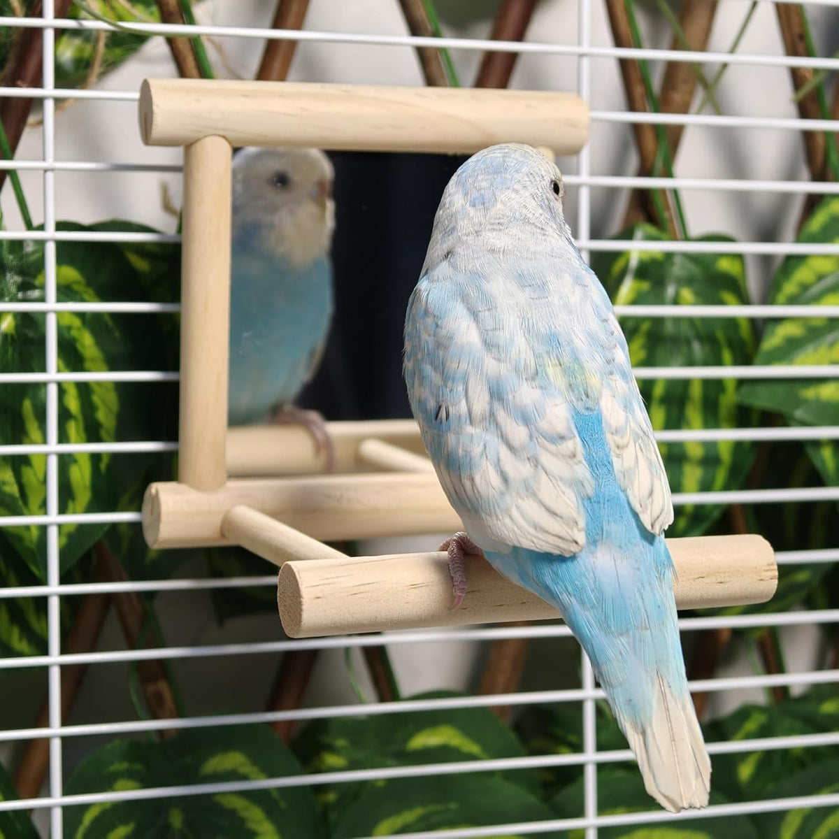2Pcs Bird Mirror Parakeet Mirror Perch Stand Wooden Swing Mirror Toy Cage Accessories for Parrots Budgies Parakeets Cockatiels Lovebirds Finches