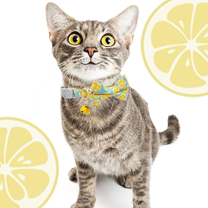 Faygarsle 2 Pack Cute Cat Collar - Image 7