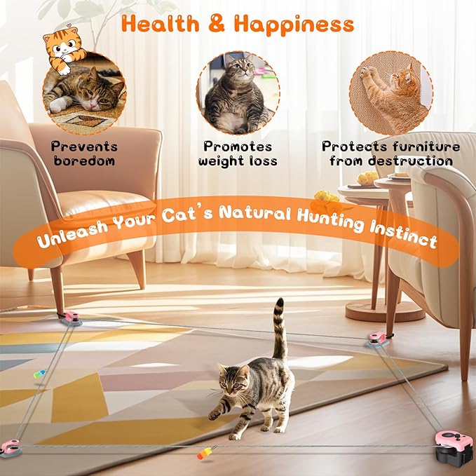 Interactive Cat Toy for Indoor - Image 5