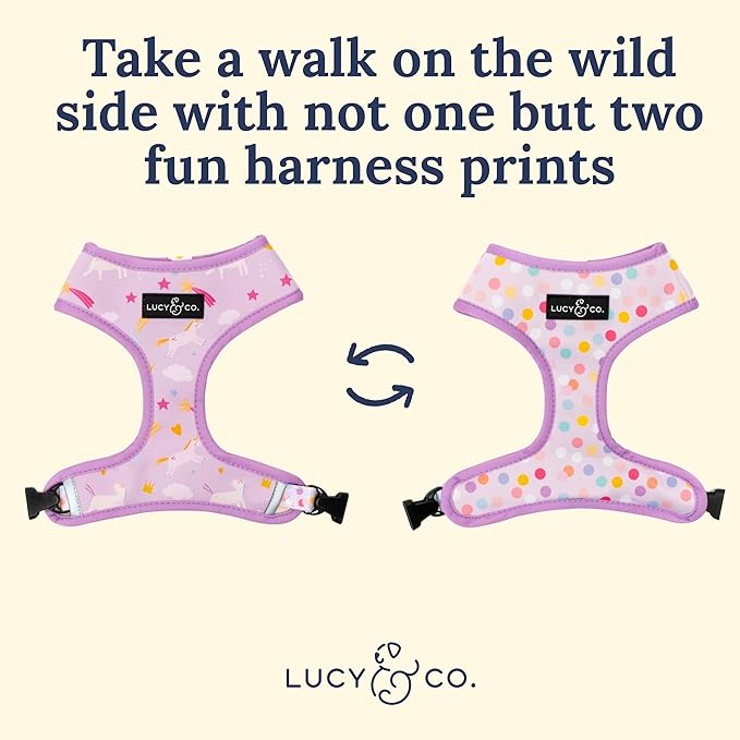 Lucy & Co. Cute Reversible Dog Harness Walking Halter - Image 3