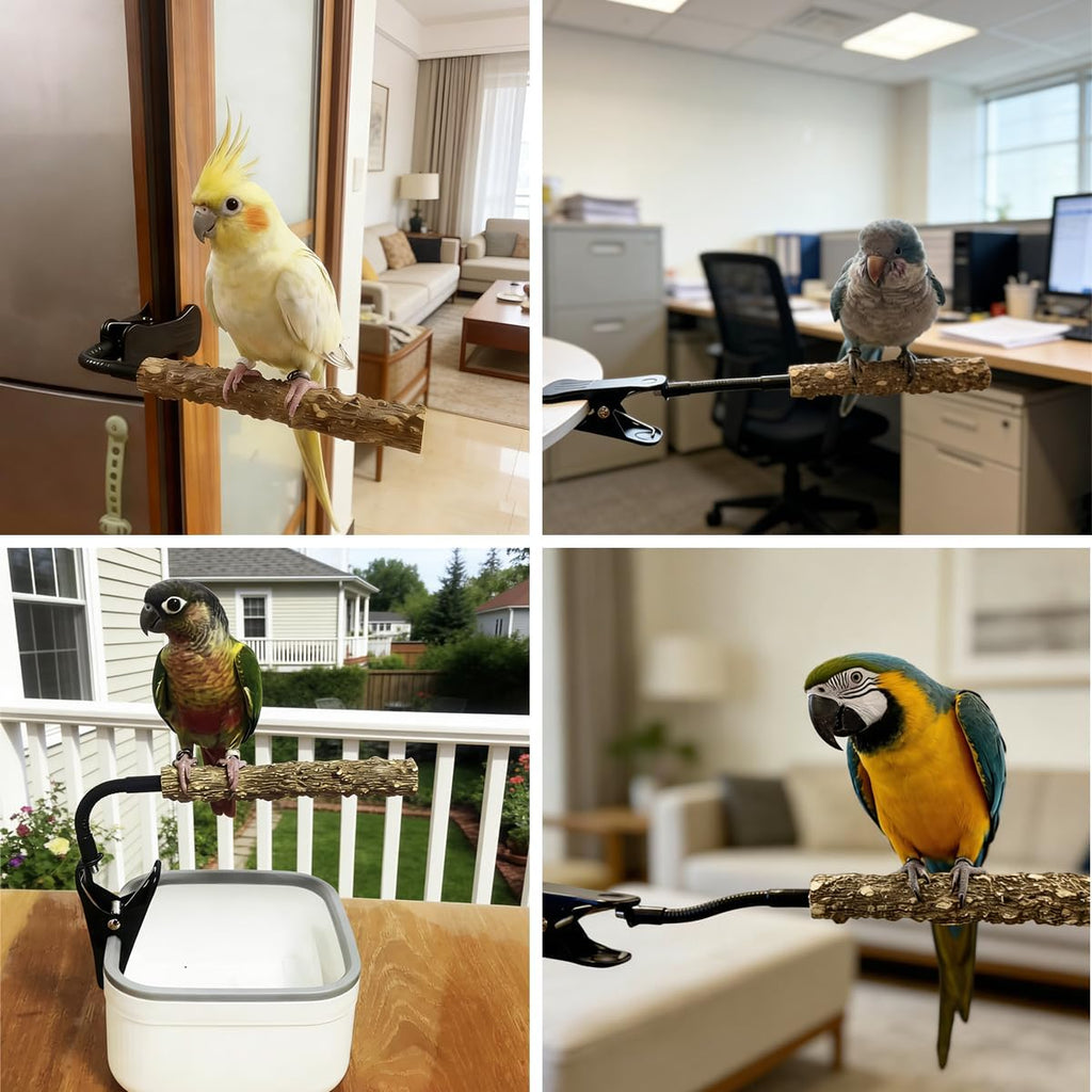 Bird Perch Stand with Clip, Adjustable & Portable Parrot Stand with Parrot Feeding Cups Bendable Training Perch for Cockatiels, Conures, Lovebirds ird cage Accessories