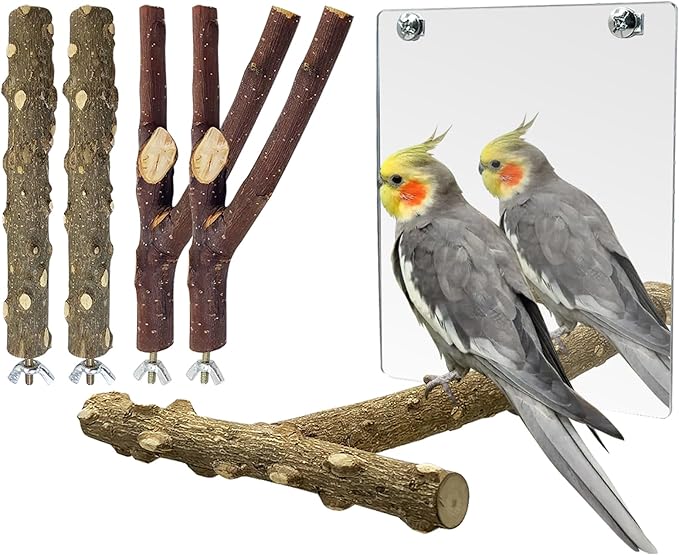 BNOSDM 5PCS Bird Perches Stand by BNOSDM