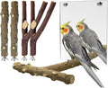BNOSDM 5PCS Bird Perches Stand by BNOSDM