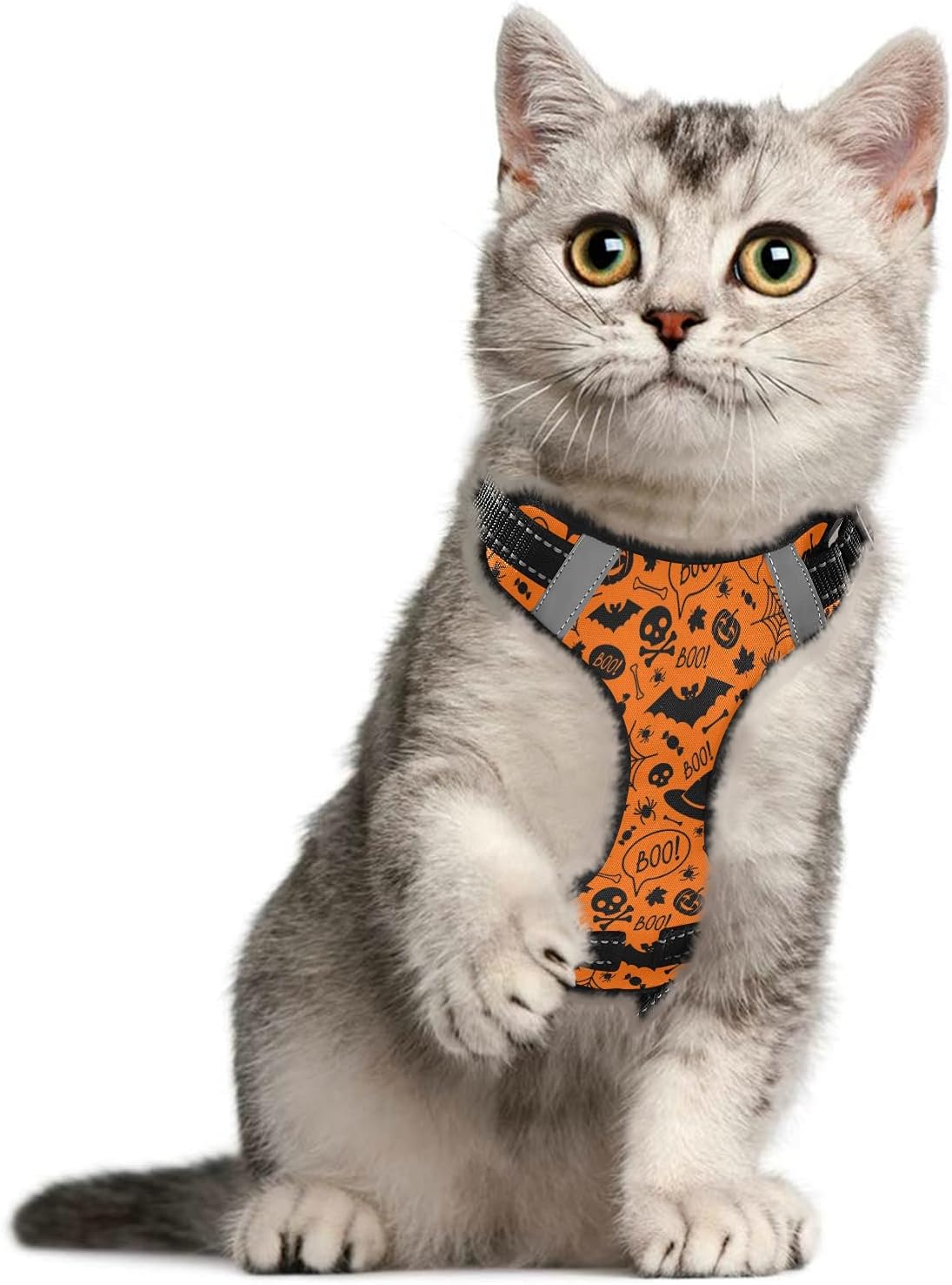 Halloween Skull Pumpkin Dog/Cat Harness, Reflective No-Pull Pet Harness with 2 Leash Clips, Fully Adjustable Soft Padded Dog Vest, No-Choke Pet Oxford Vest