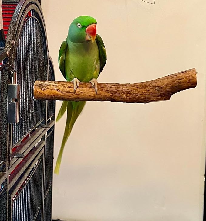 Polly's Hardwood Bird Perch - Image 2