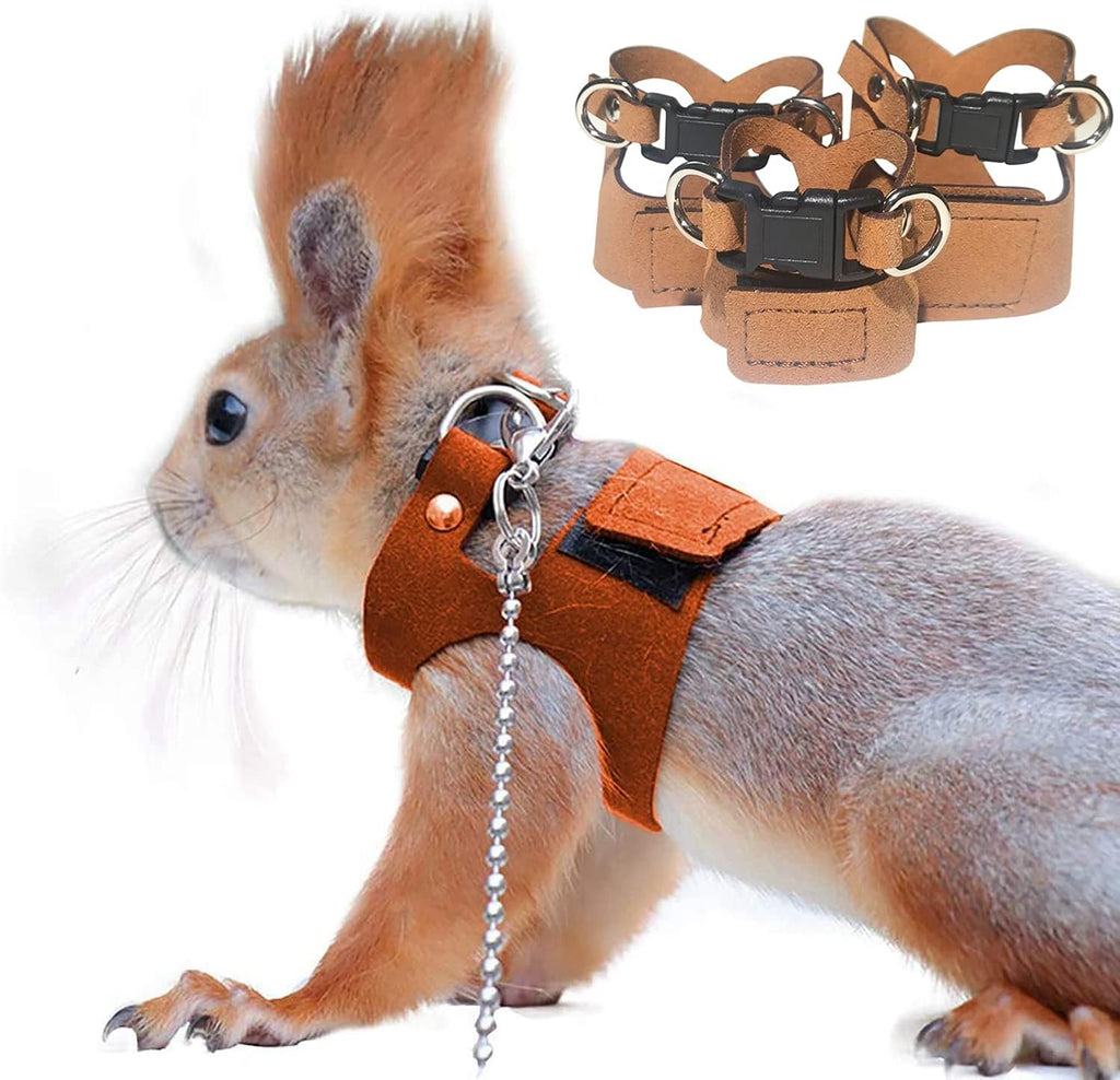 3 Pack Squirrel Harness and Leash Set - Adjustable Traction Rope Strap Anti-Biting Chain,Small Animal Training Walking Vest Leash for Squirrel Gerbil Chinchilla Rat (Black, 3 Pack(S/M/L))