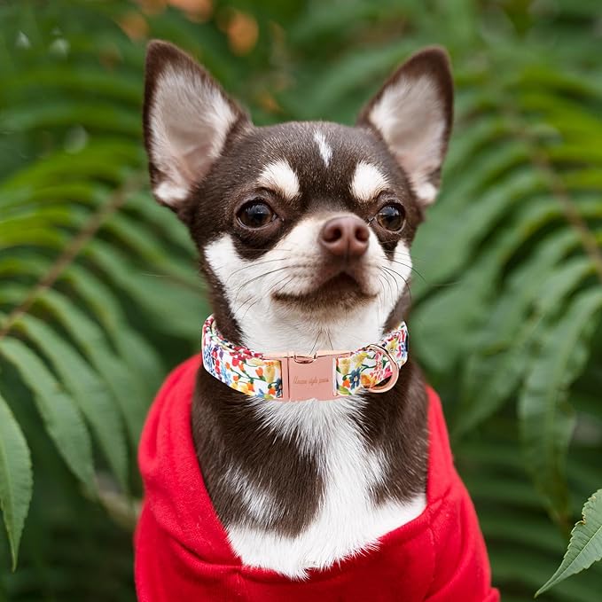 Unique style paws Dog Collar Metal Buckle Colorful Flower Collar Gift Durable - Image 4