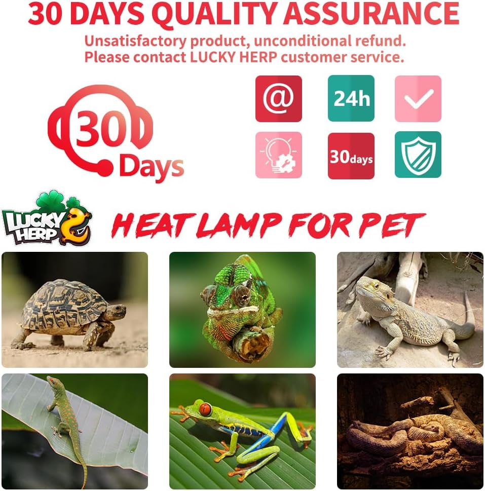 LUCKY HERP Infrared Heat Lamp 100W 2 Pack，Reptile & Amphibian Basking Spot Light Bulbs, Red Heat Lamp Bulbs for Reptiles, Bearded Dragon, Turtle, Lizard, Snake, Chicken