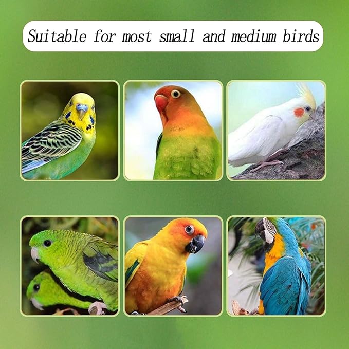 Automatic Acrylic Bird Feeder for Cage, No Mess - Image 4