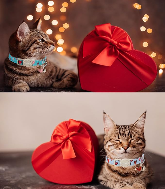 Cat Collar, 2 Pack Cat Collars Breakaway - Image 5