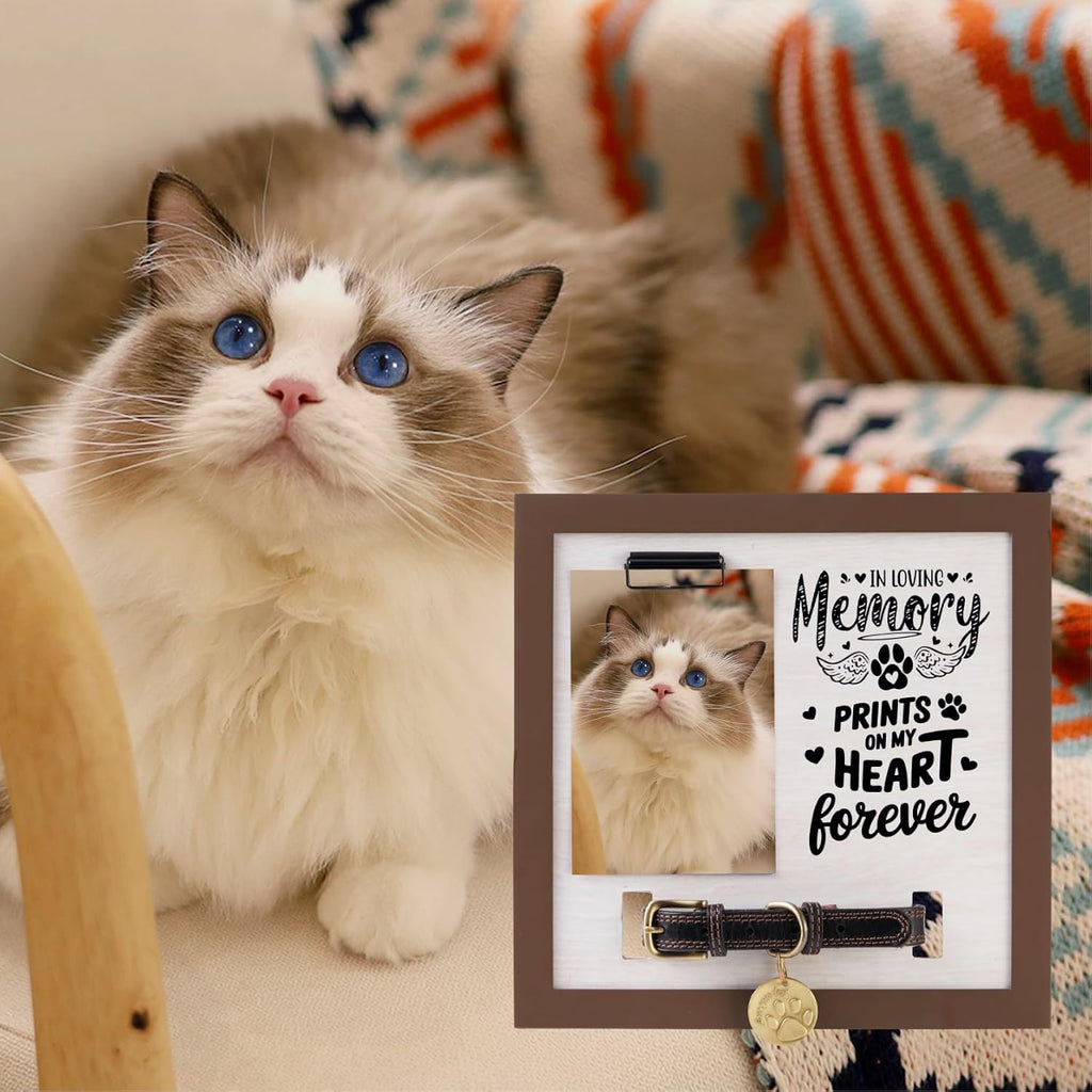 Dog Memorial Gifts for Loss of Dog, Pet Memorial Frame with Collar Holder