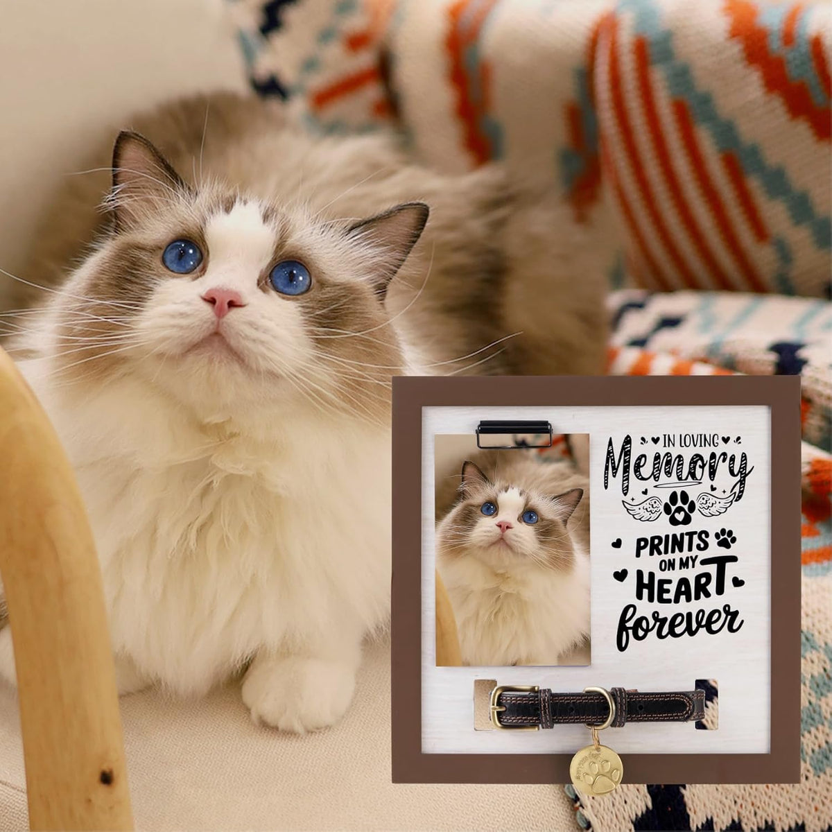 Dog Memorial Gifts for Loss of Dog, Pet Memorial Frame with Collar Holder