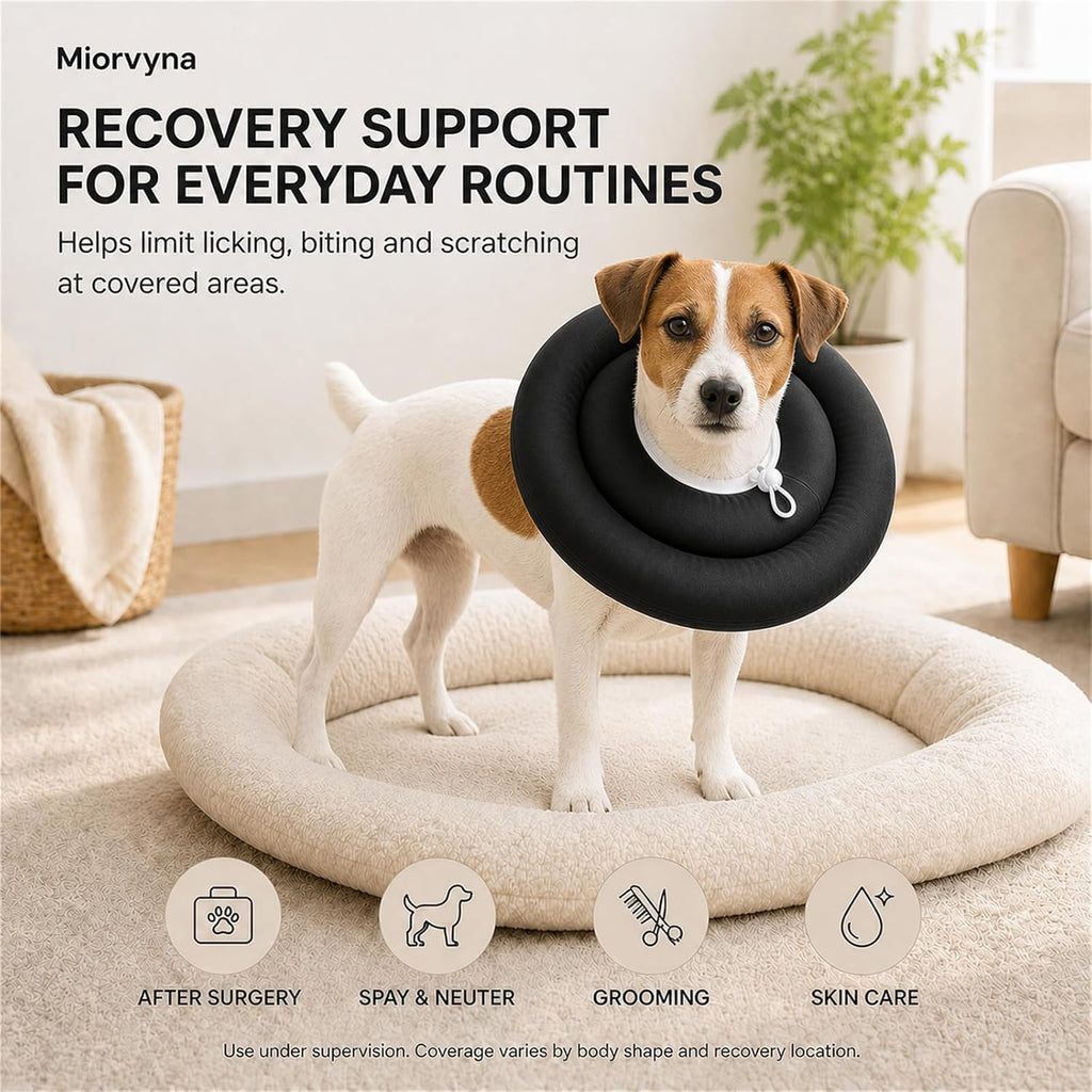 Soft Dog Cone Collar, Donut Recovery Post Surgery, Black, L