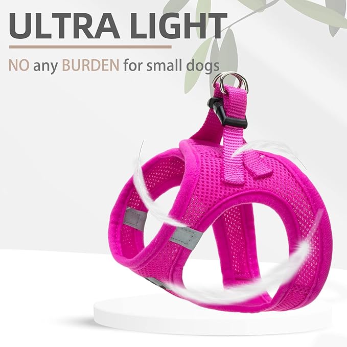 PUPTECK Adjustable Dog Harness Collar and Leash Set Step in No Pull Pet Harness - Image 5