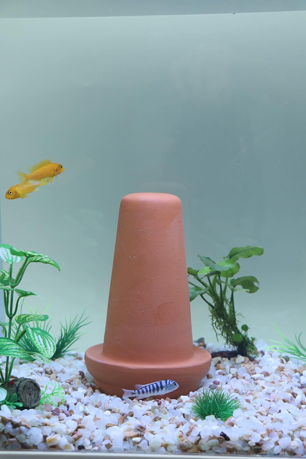 AQUA KT Discus Fish Breeding Cone Cave Spawning Slates for Aquarium Decor