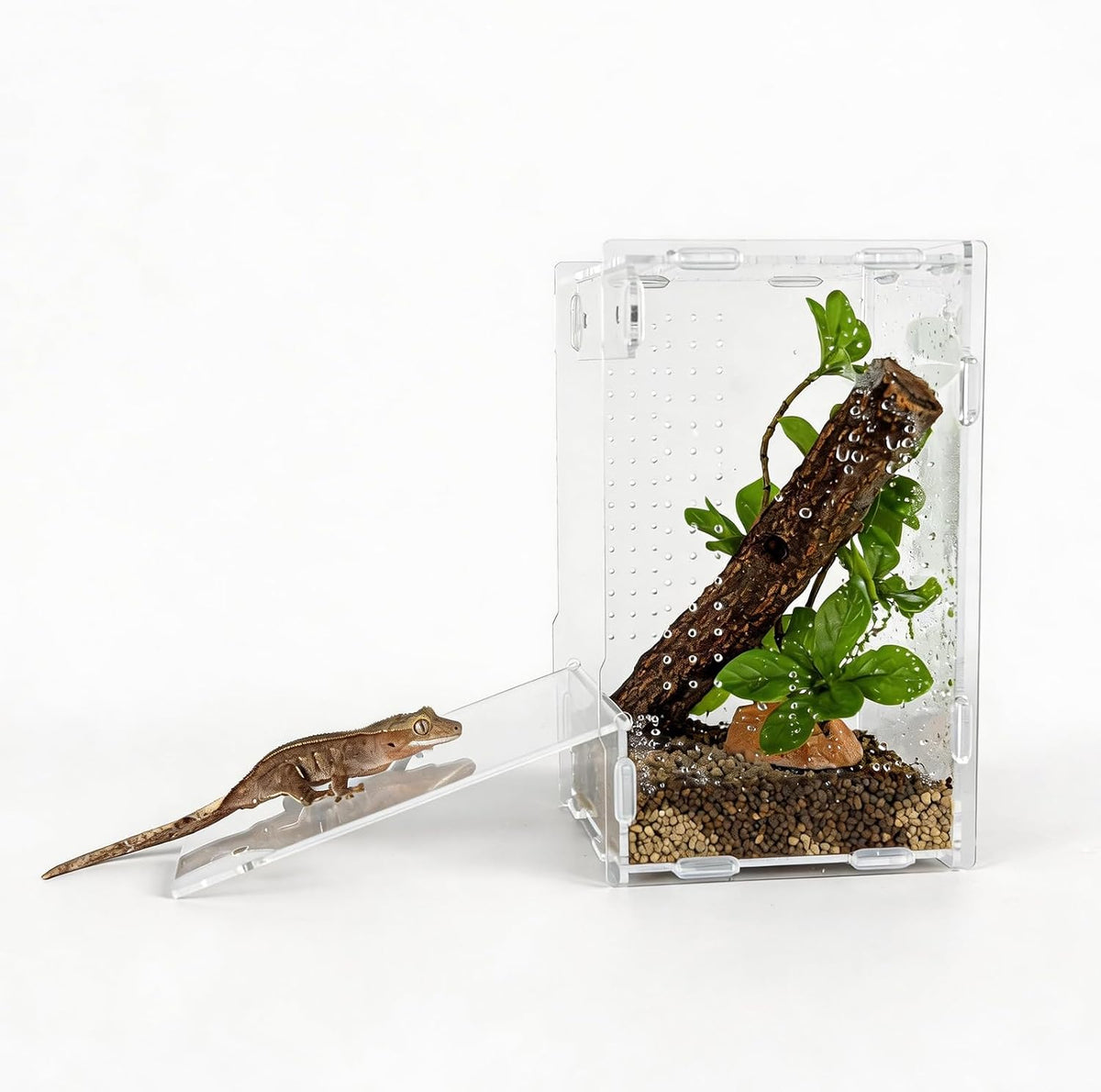 5x5x8 Acrylic Reptile Enclosure - Clear Small Pet Terrarium