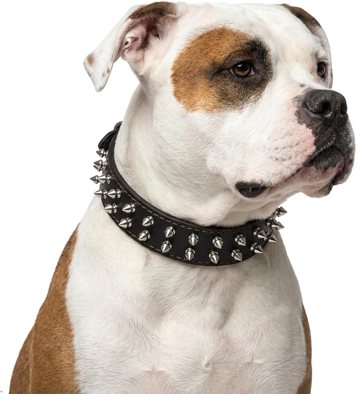 Leather Spiked Dog Collar Sturdy Durable French Bulldog Pit Bulls Doberman (Brown,XS-Neck 14-18in)