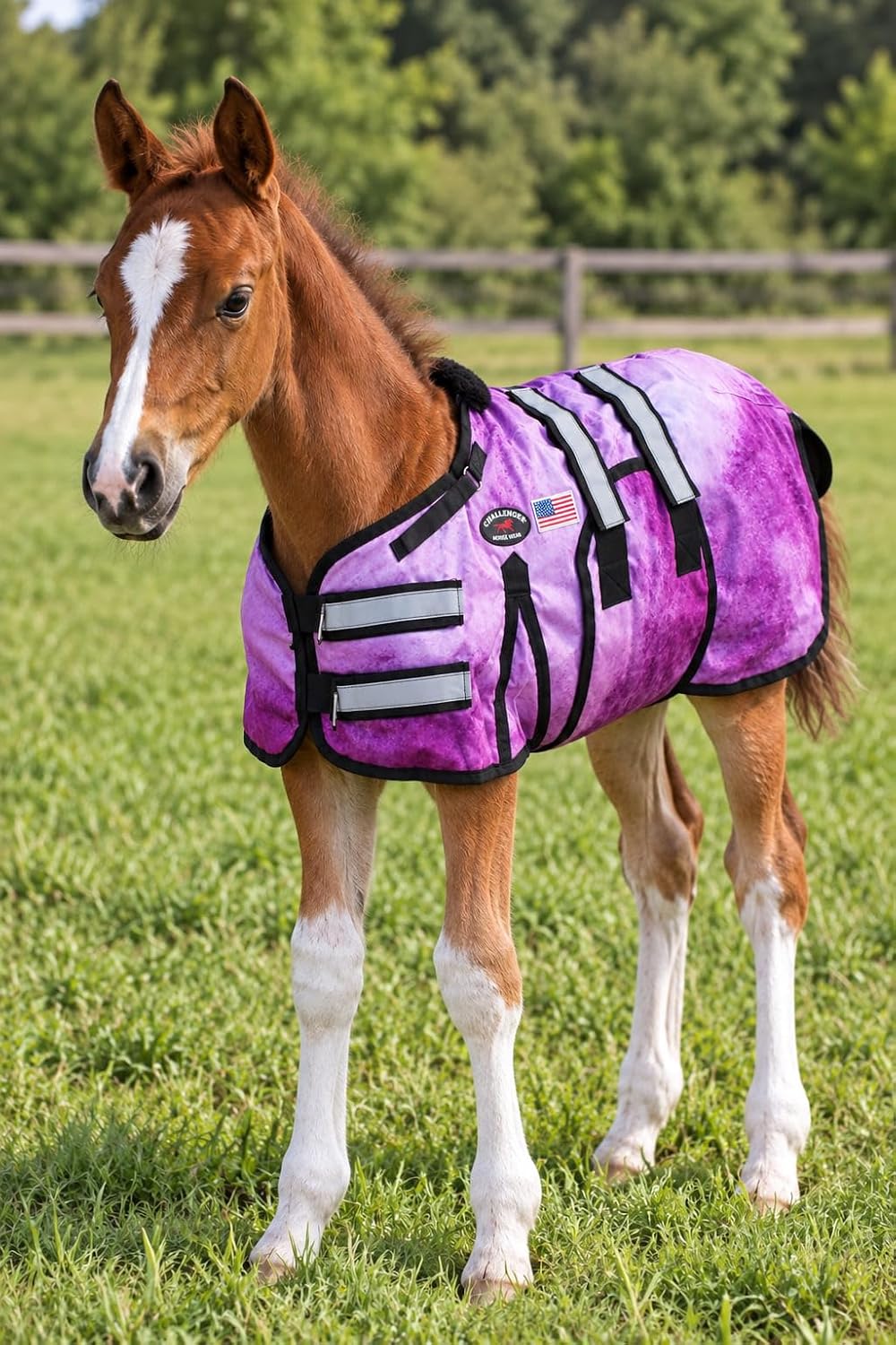 36-42(Medium) 1680D Miniature Weanling Donkey Pony Horse Foal Winter Blanket 519TS05PR
