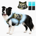 Cooling Dog Vest Harness with 4 Reusable Ice Packs, Helps Dog Heat Relief