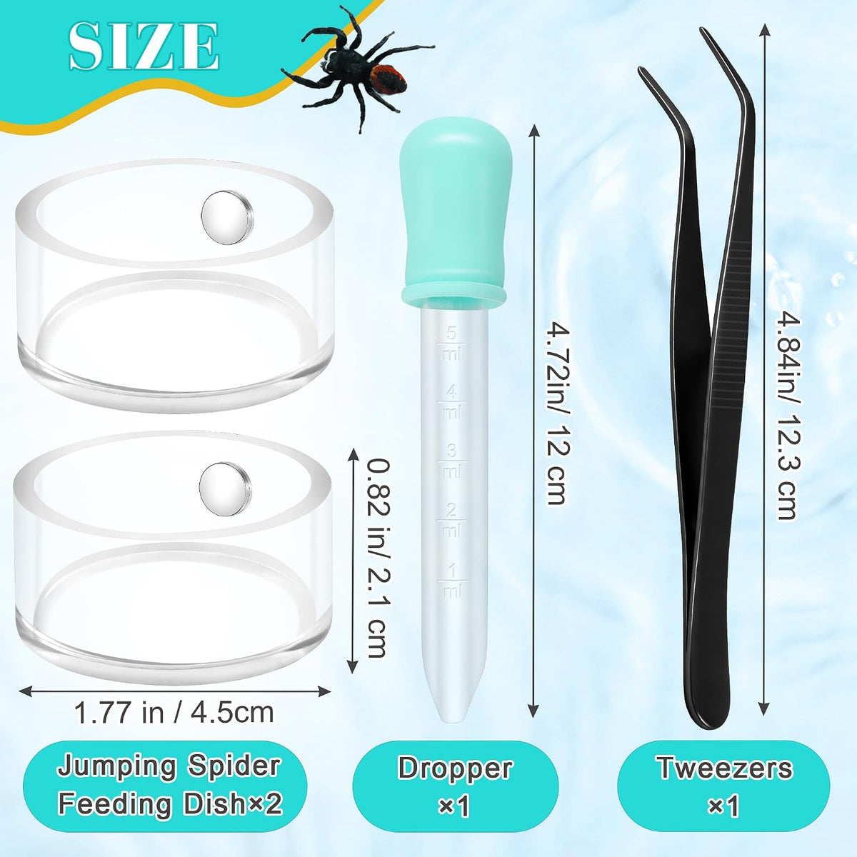 Jumping Spider Magnetic Water Feeding Dish for Small Pets