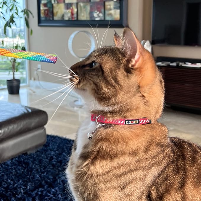 Pawtitas Personalized Teal Reflective Cat Collar – Adjustable Custom Collar - Image 9