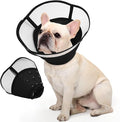 Allroaring Dog Cone, Soft Dog Cones by Allroaring