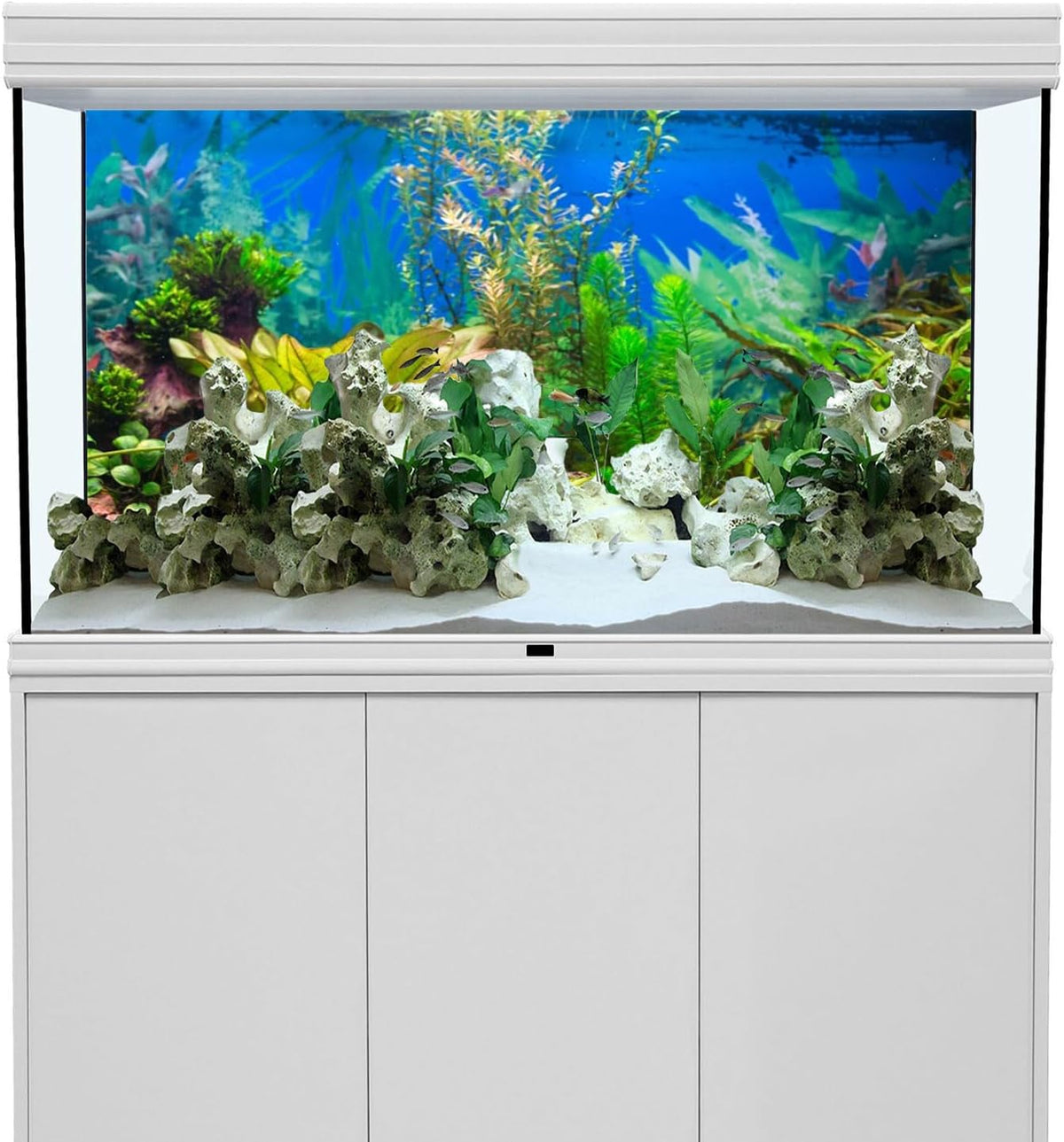 72x24 in Aquatic Plant Aquarium Backdrop Riverbed Fish Tank Background