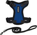 Voyager Escape-Proof Step-In Lock Cat Harness & 5ft Neoprene-Handle Leash Set by BestPetSuppliesLLC
